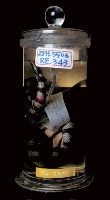 黃唇青斑海蛇藏品圖，第5張